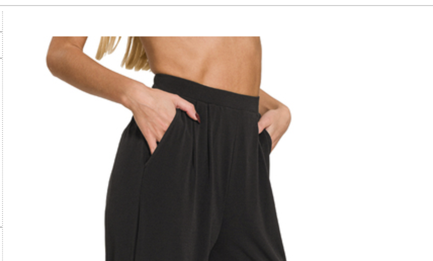 PLEATED  WAIST PANTS