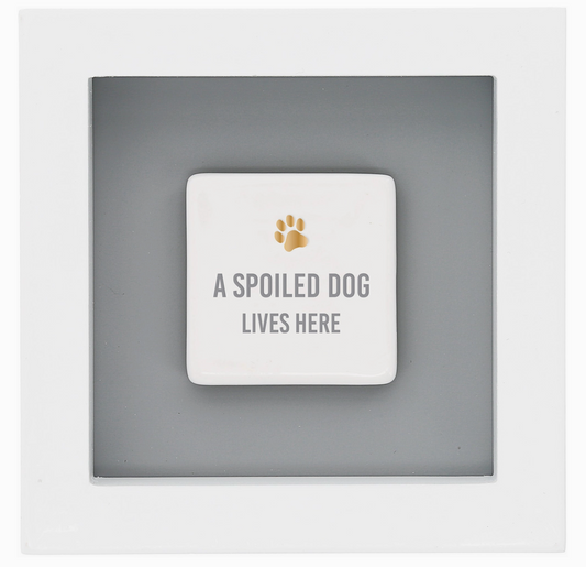 A SPOILED DOG