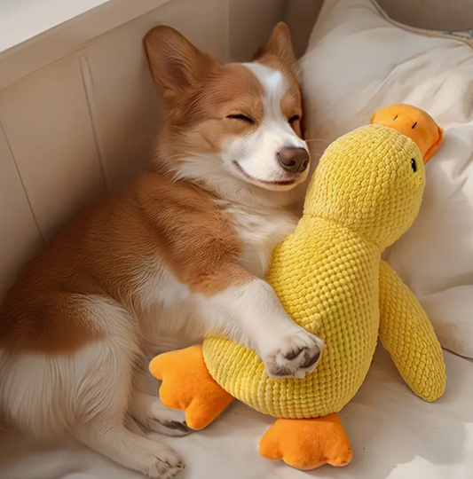 DUCK DOG TOY
