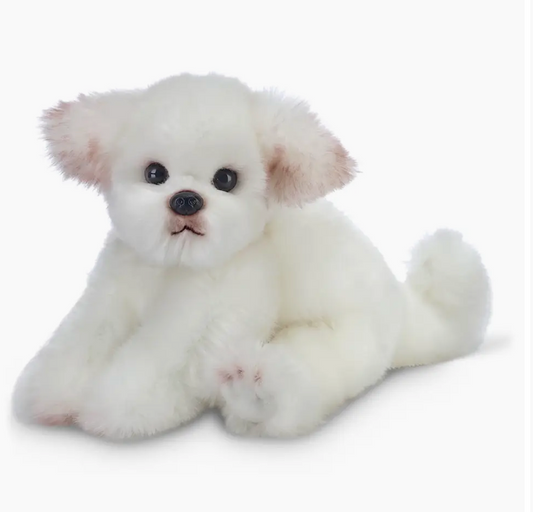 ANGEL THE MALTESE