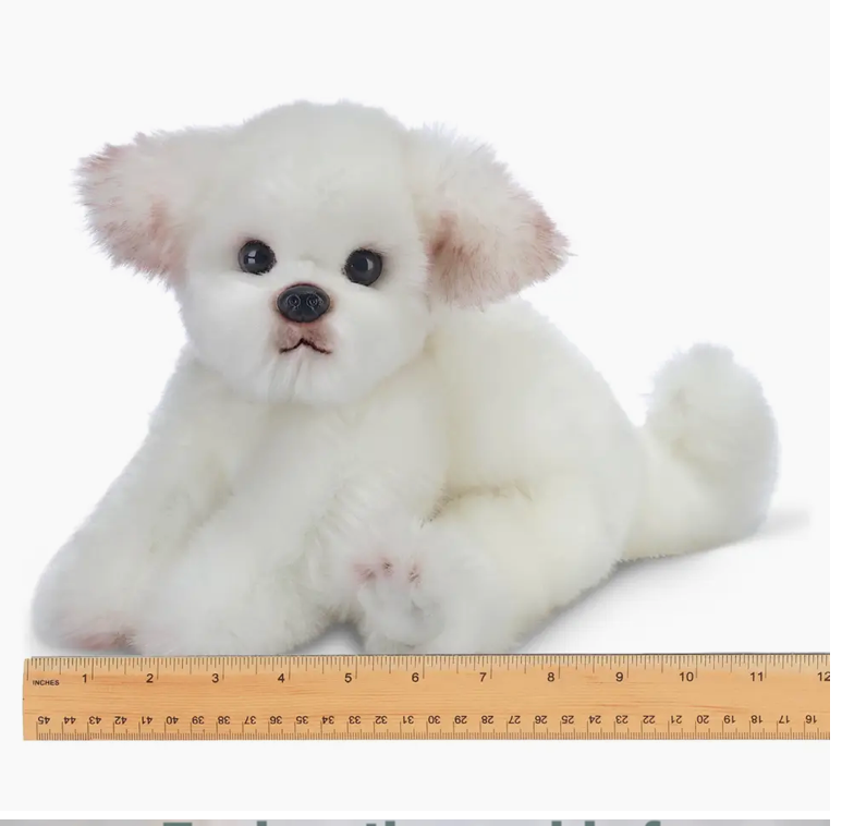 ANGEL THE MALTESE
