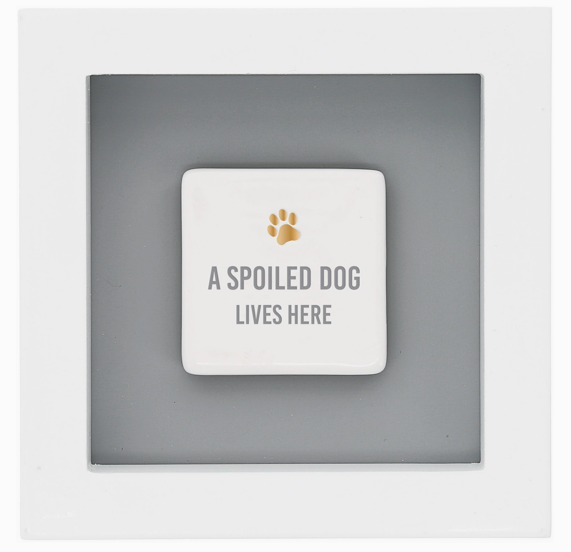 A SPOILED DOG