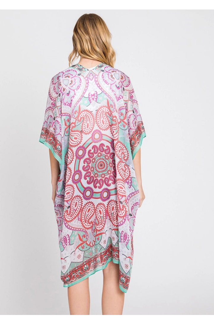 ABSTRACT PAISLEY