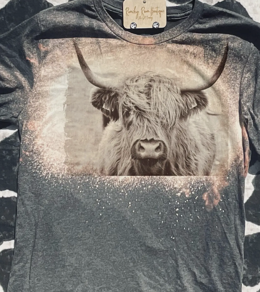 HIGHLANDER COW BLEACHED